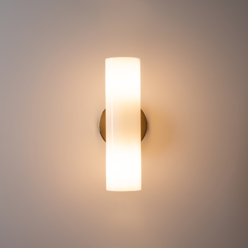 Настенный светильник (бра) Freya FR5368WL-02BS фото 2 Настенный светильник (бра) Freya FR5368WL-02BS фото 2